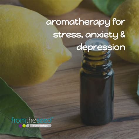 Aromatherapy For Stress Anxiety And Depression From The Seed