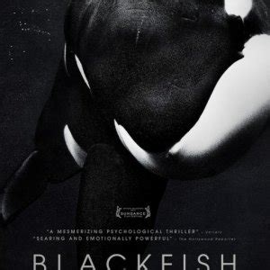 Blackfish Film Trama Cast Foto News Movieplayer It