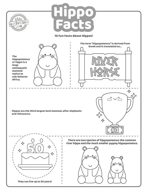 Fun Hippo Facts For Kids