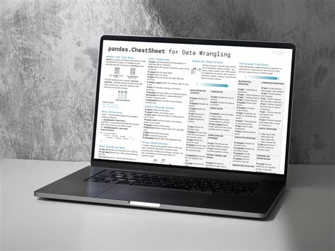 Pandas Cheat Sheet Efficient Python Programming For Data Scientists