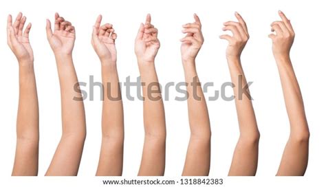 Human Female Arms