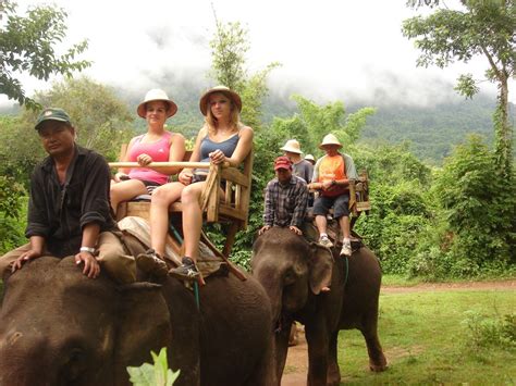 Luang Prabang Venturing And Elephant Riding Tours At Laos Spirit Resort