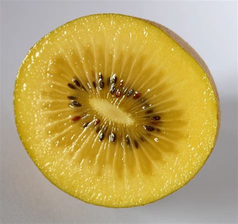 Gold Kiwi, photograph, #1494659 - FreeImages.com