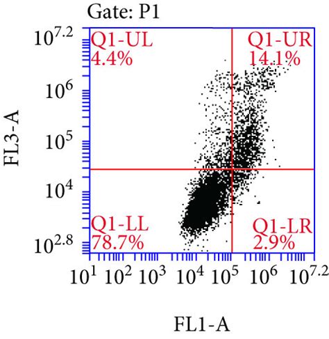 Effects Of Hp1 Hp2 And Hp3 On H2o2 Induced Apoptosis In Eahy926