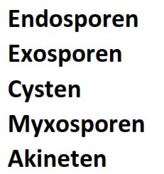 Mikrobielle Dauerformen Flashcards Quizlet