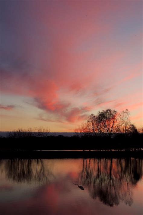 Alligator Lake Sunset Photograph By Lindy Pollard Fine Art America