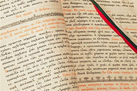 Russian vs. Bulgarian Language: Understanding Differences and Shared ...