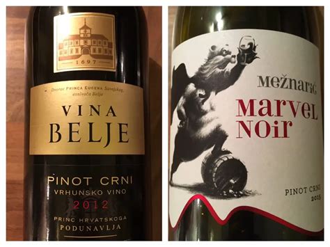 Can You Tell a Burgundy from a Croatian Pinot Noir? - Wine Travel