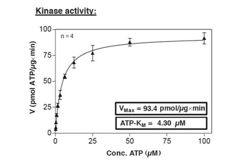 Htscan® Egfr Kinase Assay Kit Cell Signaling Technology