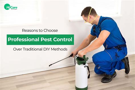 Top 5 Facts On DIY Vs Professional Pest Control HiCare