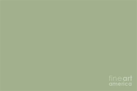 Mid Tone Green Solid Color Pairs Dulux 2022 Popular Colour Bamboo Stem