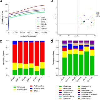 16S RRNA Gene Based Metagenomic Analysis From Fecal Samples Incubated