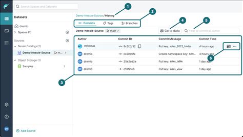 Quick Tour of the Nessie as a Source Page | Dremio Documentation