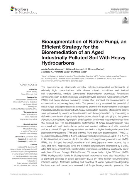 (PDF) Bioaugmentation of Native Fungi, an Efficient Strategy for the ... 