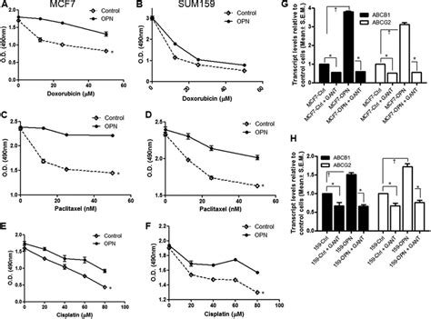 OPN Influences Drug Resistance Through The Regulation MDR Genes ABCB1