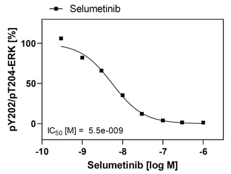 Mek Cellular Phosphorylation Assay Service Reaction Biology