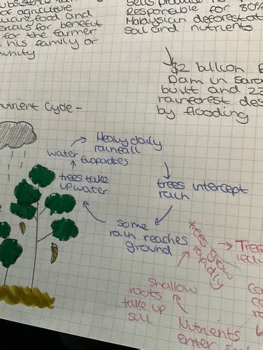 Geography End Of Year Flashcards Quizlet