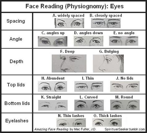 Spiritual Seeker (Face Reading (Physiognomy): Eyes Since eyes are...)