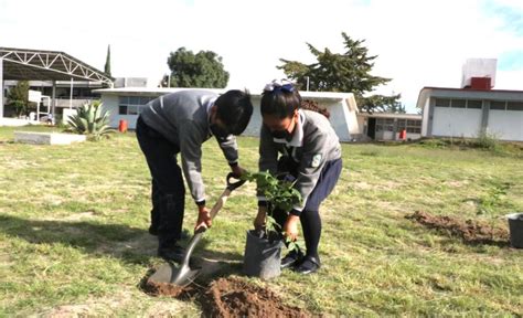 Reforestación por alumnos El Heraldo de Puebla