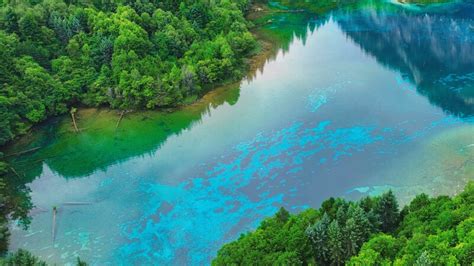 Discover Jiuzhaigou’s Summer Magic: China’s Hidden Paradise Unveiled ...