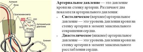Систолическое и диастолическое давление: что такое, какая разница ...