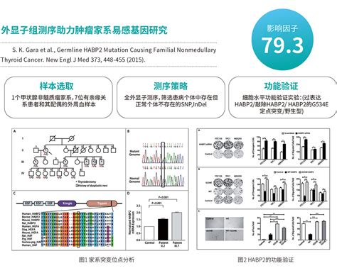 外显子组测序 银丰基因科技有限公司