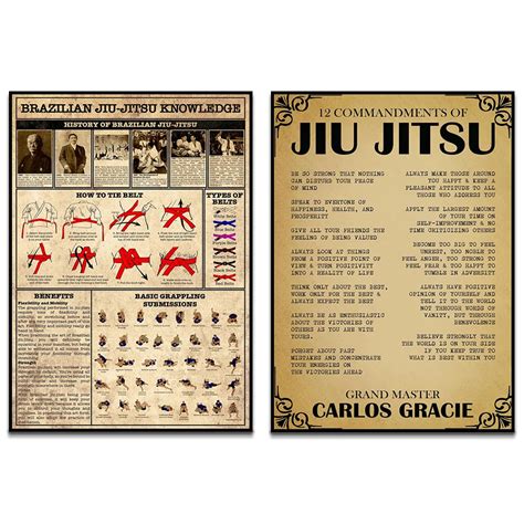 Brazilian Jiu Jitsu Posters