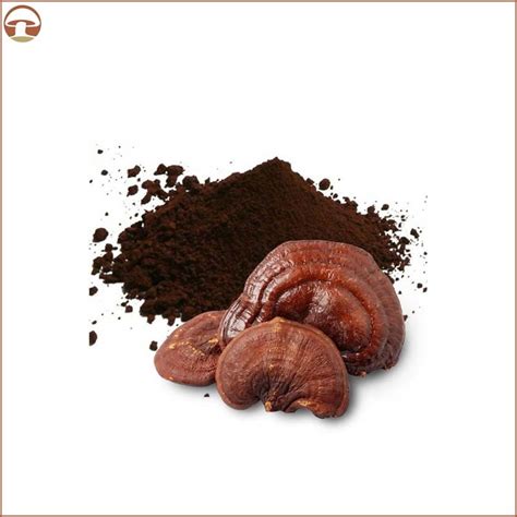 Organic Reishi Lingzhi Ganoderma Lucidum Mushroom Herbal Powder