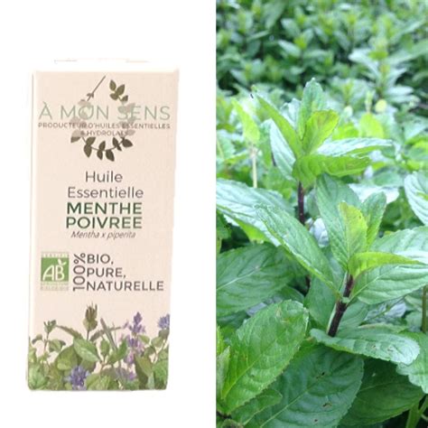 Huile essentielle de Menthe poivrée A mon sens