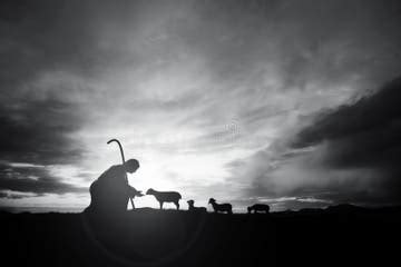 2,959 Sheep Silhouette Stock Photos - Free & Royalty-Free Stock Photos from Dreamstime