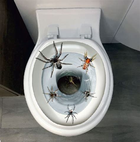 Spider Toilet Seat Cover Velcromag