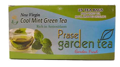 Mint Green Tea Packaging Type Bag Speciality Organic Tea At Rs 150