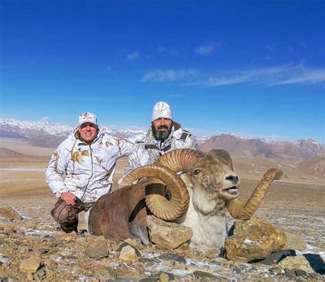 international hunts infinity hunts