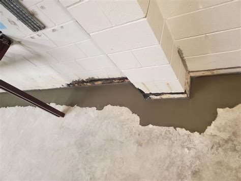 Basement Waterproofing Waterproofing Products Installed In Tolono Il Home Waterproofed Basement