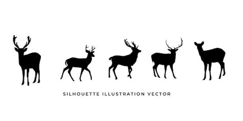 Wilde Tiere Silhouetten Vektor Illustration Isolierte Tiere Premium