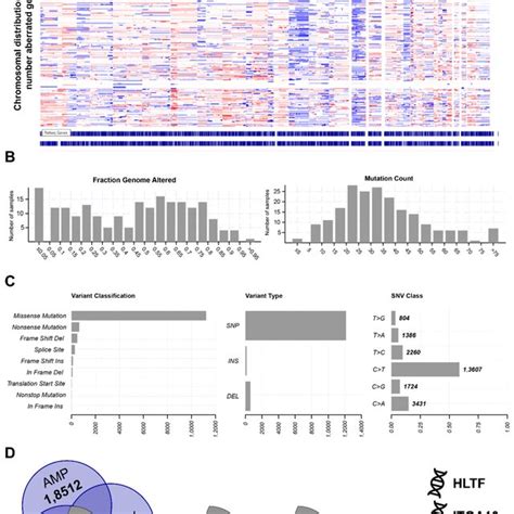 Identification Of Tumor Antigens Associated With The Infiltration Of