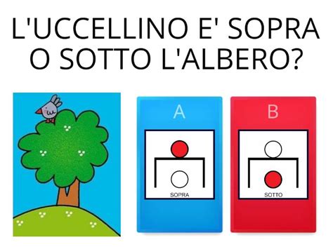 SOPRA O SOTTO In CAA Quiz