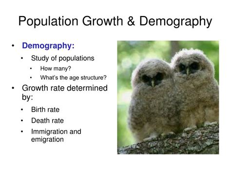 Ppt Lab 12 Population Ecology Powerpoint Presentation Free Download Id2797301