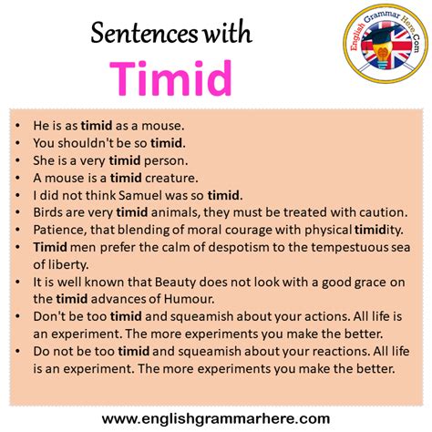 Sentences with Timid, Timid in a Sentence in English, Sentences For Timid - English Grammar Here