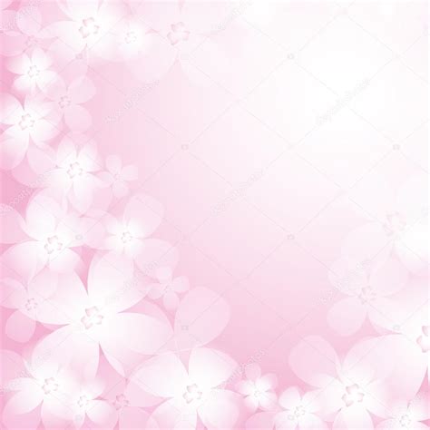 Beautiful Pink Flower With White Background | Best Flower Site