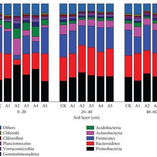 Relative Abundance Of The Top Ten Fungi In The Phylum A And Genus B