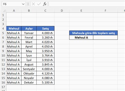 SUM funksiyası – Human Capital Managment