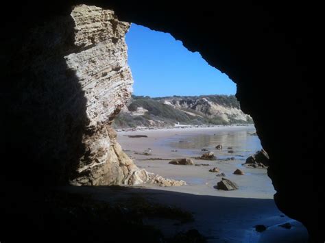 Hike #4: Crystal Cove Tide Pools | Crystal cove state park, Southern ...