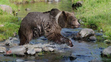 California Wildlife Photography Workshop April 2013 | Jeff Wendorff