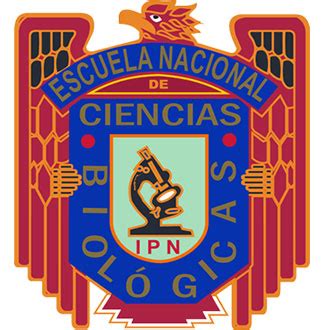 Escuela Nacional De Ciencias Biol Gicas Ipn