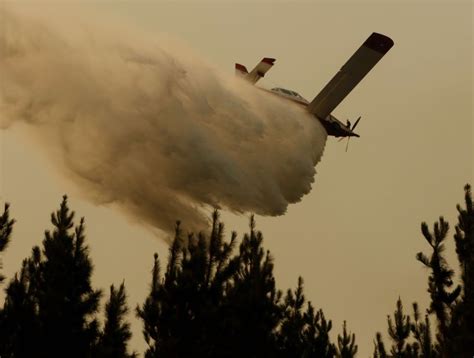 Un incendio forestal se mantiene activo en la Región del Biobío