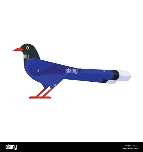 Vector Flat Style Illustration Of Taiwan Blue Magpie Icon For Web