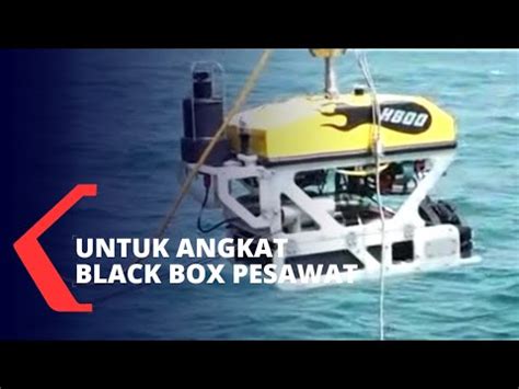 TNI Maksimalkan ROV Untuk Angkat Black Box Sriwijaya Air SJ182 YouTube