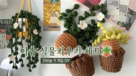 코바늘로 식물 키워 뜨개 가드너 되보자🪴👩🏻‍🌾 이솝 식물키우기 세트 Diy키트 콩란 게발선인장 Youtube