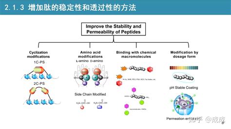 文献专题解读 多肽药物偶联物peptide Drug Conjugates Pdcs概述与未来发展方向【副标题：多肽作为癌症靶向治疗的